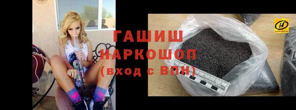 стаф Алзамай