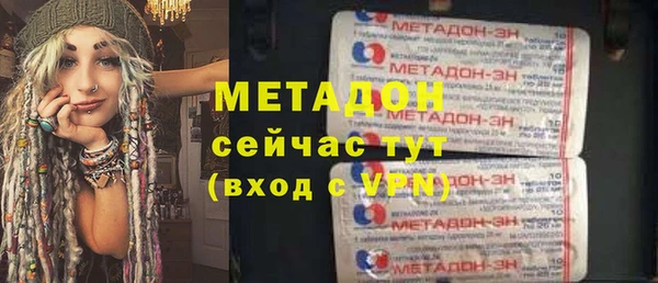 стаф Алзамай