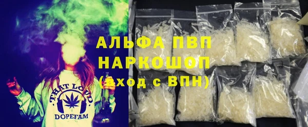 стаф Алзамай