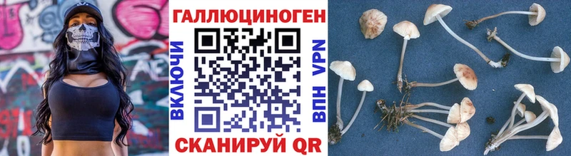 купить наркотик  Ефремов  Псилоцибиновые грибы Cubensis 